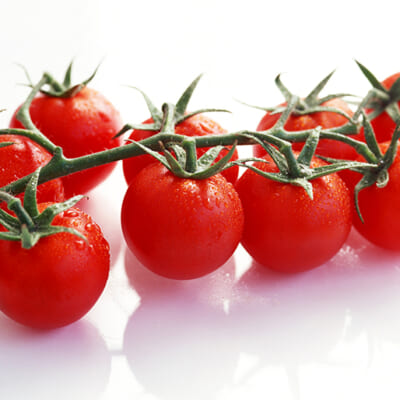 自社栽培の新鮮なトマト