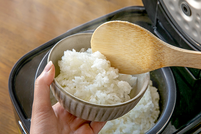 雪のように白く輝く姿から名付けられた「雪若丸」