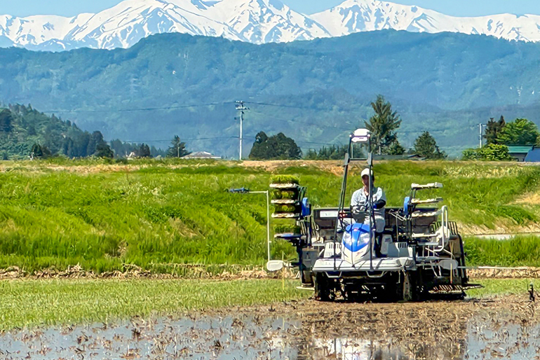 循環型農業による自家製堆肥を活用