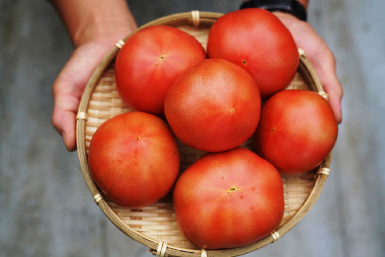 シーズンの最後を飾るにふさわしい、絶品トマト「しずく」