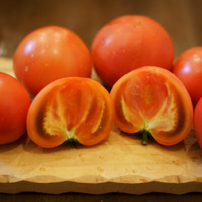 艶めく珠玉のトマト