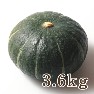 山形県産 かぼちゃ 3.6kg