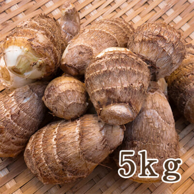 山形県産 里芋（JAS認証有機栽培）5kg
