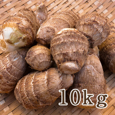 山形県産 里芋（JAS認証有機栽培）10kg