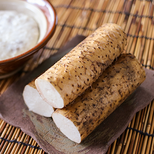 自然薯　天然 青森県十和田産】【春掘り]土付き 短形 自然薯 3kgキズあり：青森県産