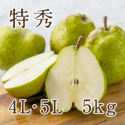 ラ・フランス 特秀 4L・5Lサイズ 5kg