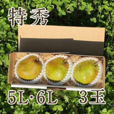 【贈答用】ラ・フランス 特秀 5L・6Lサイズ 3玉
