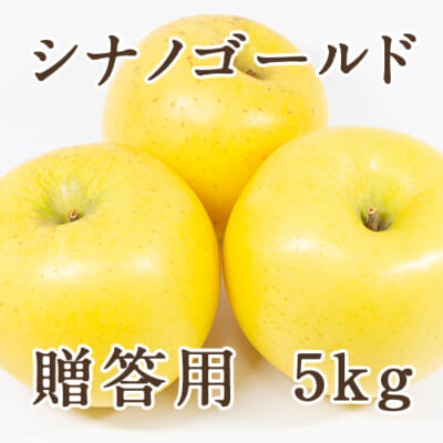 【贈答用】シナノゴールド 5kg