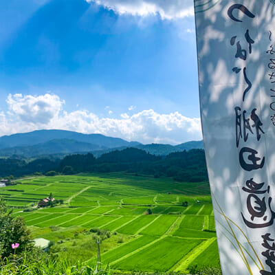 稲作の原風景「椹平の棚田」