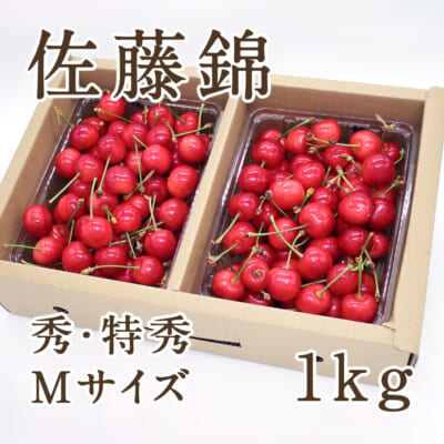 山形県産さくらんぼ 佐藤錦 秀・特秀 Mサイズ詰め合わせ 1kg