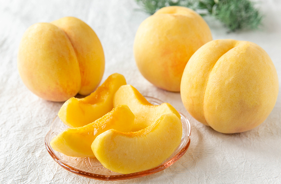 山形特産 黄金桃 3kg 贈答用9玉入り【贈答用／送料無料】×２箱 山形直送計画】山形県産 黄桃（贈答用・家庭用） – HAGAフルーツ