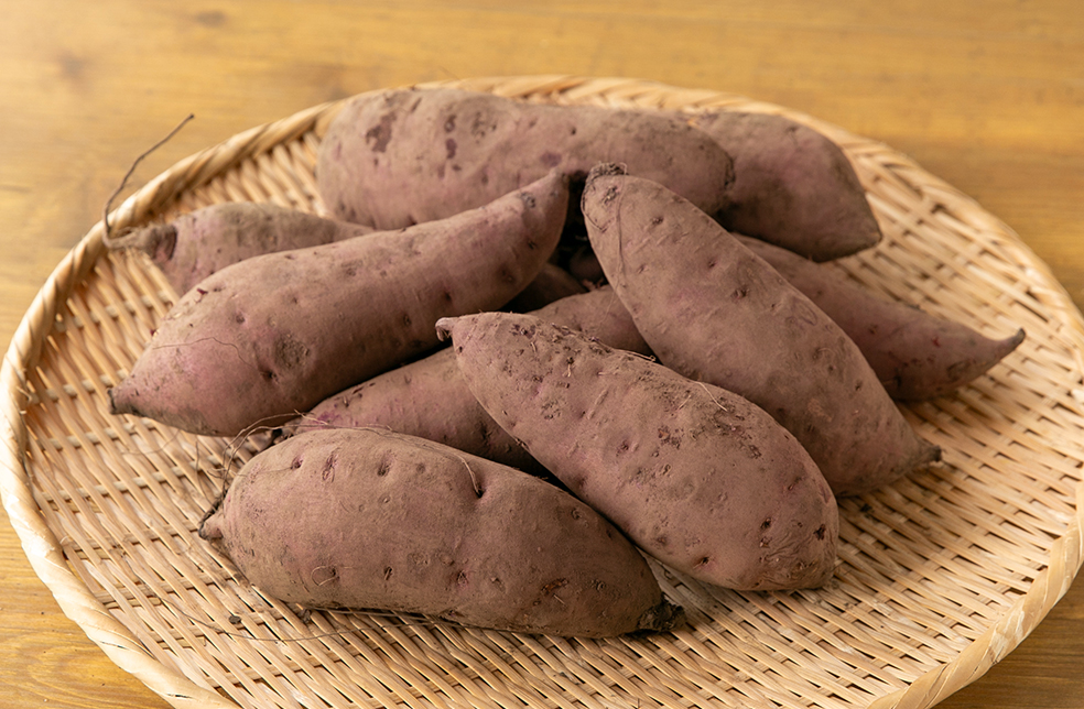 シュガープルーン 西洋すもも　接木苗木 約80㌢宅急便.ポット植えのまま匿名発送 シュガープルーン 西洋すもも 接木苗木 約80㌢宅急便.ポット植えのまま