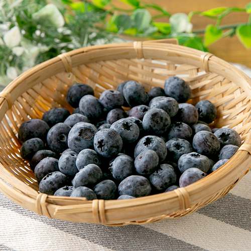 か様　150K ②グレープ③ブルーベリー 山形直送計画】山形県産ブルーベリー – ファーム岩崎