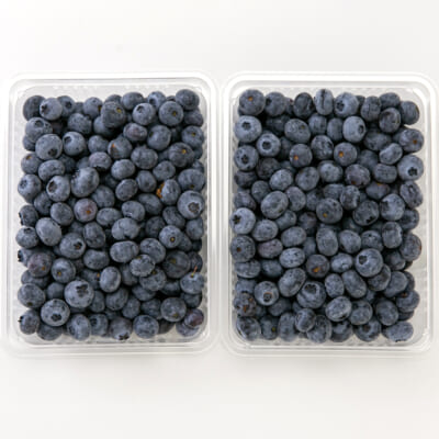 山形県産ブルーベリー 1kg