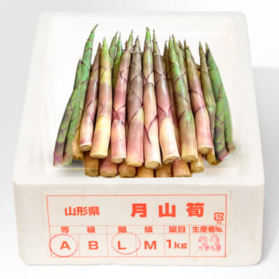 山形県産 月山筍（蔵王筍）1kg