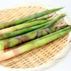 山形県産 月山筍（蔵王筍）