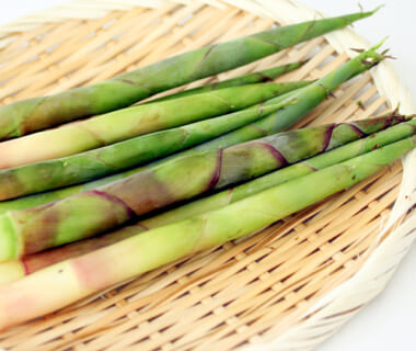 予約注文：山形県産 月山筍（蔵王筍）