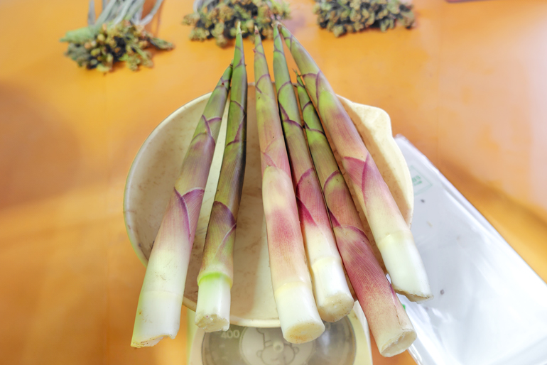 コリコリ食感とやさしい甘みが魅力の「月山筍」