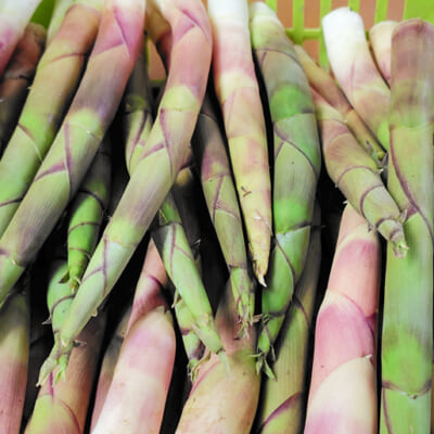 植物本来の力を活かした栽培