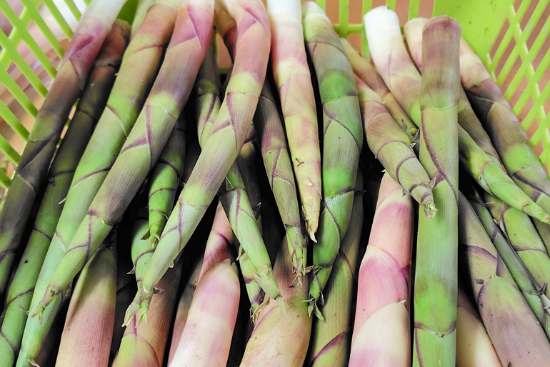 植物本来の力を活かした栽培