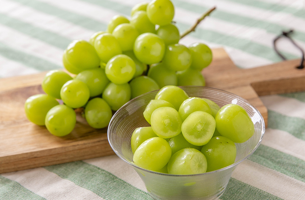 山形直送計画】山形県産シャインマスカット – 伊藤マスカット農園