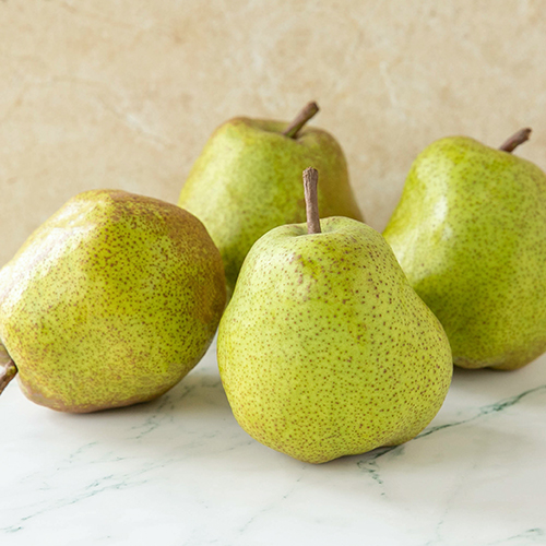 山形直送計画】山形県産 ラ・フランス（贈答用・家庭用） – Farm Suzuki