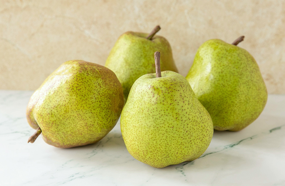 山形直送計画】山形県産 ラ・フランス（贈答用・家庭用） – Farm Suzuki