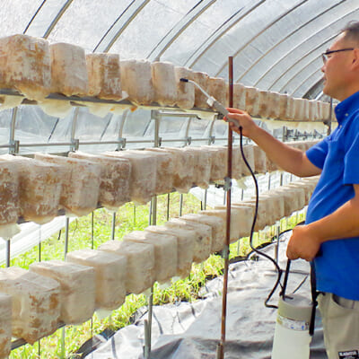 循環型農業で持続可能な農業を目指す