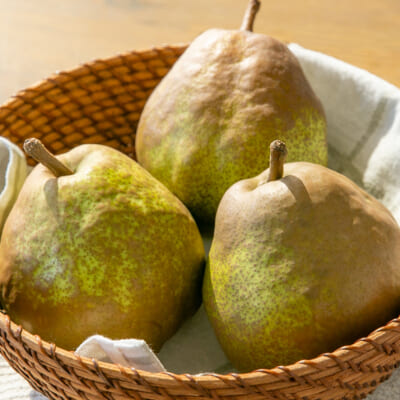 【贈答用】山形県産 ラ・フランス 5kg