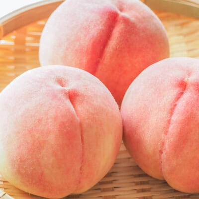 食べごたえのある食感の品種を取り揃えました