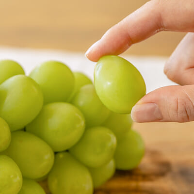 子どもからお年寄りまで!幅広い世代に支持されています