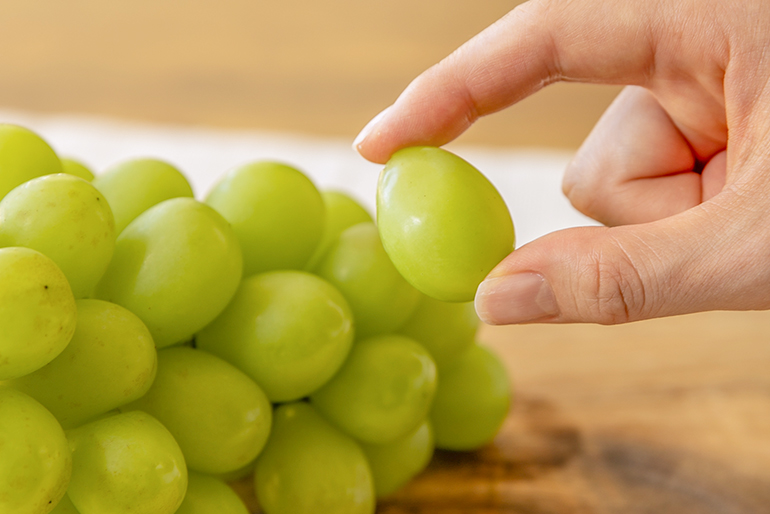 子どもからお年寄りまで!幅広い世代に支持されています