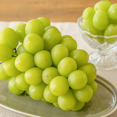 鮮やかな翡翠色に輝く姿は、まるで宝石のよう!