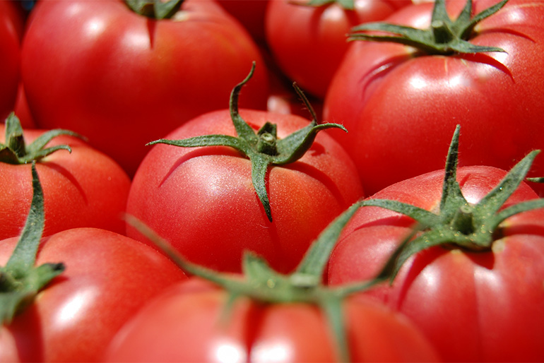濃厚な味わいの大玉トマト