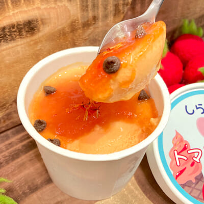 色鮮やかな「トマトジャム」と「紅花」