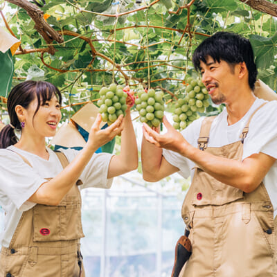 朝5時から収穫して、その日のうちに出荷します