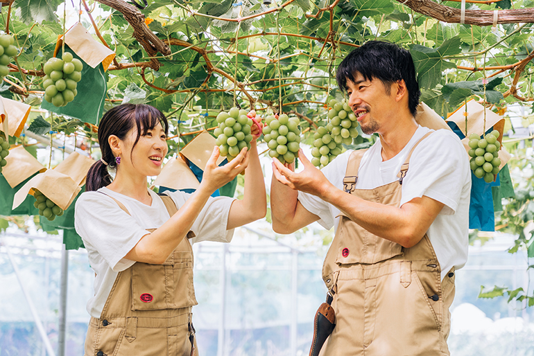 朝5時から収穫して、その日のうちに出荷します