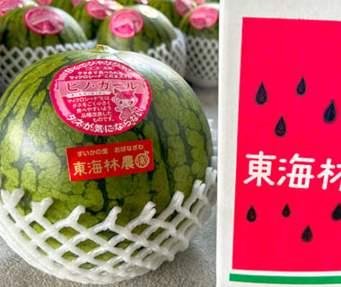 山形県産 尾花沢スイカ 小玉「ピノ・ガール」