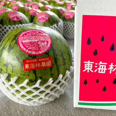 山形県産 尾花沢スイカ 小玉「ピノ・ガール」