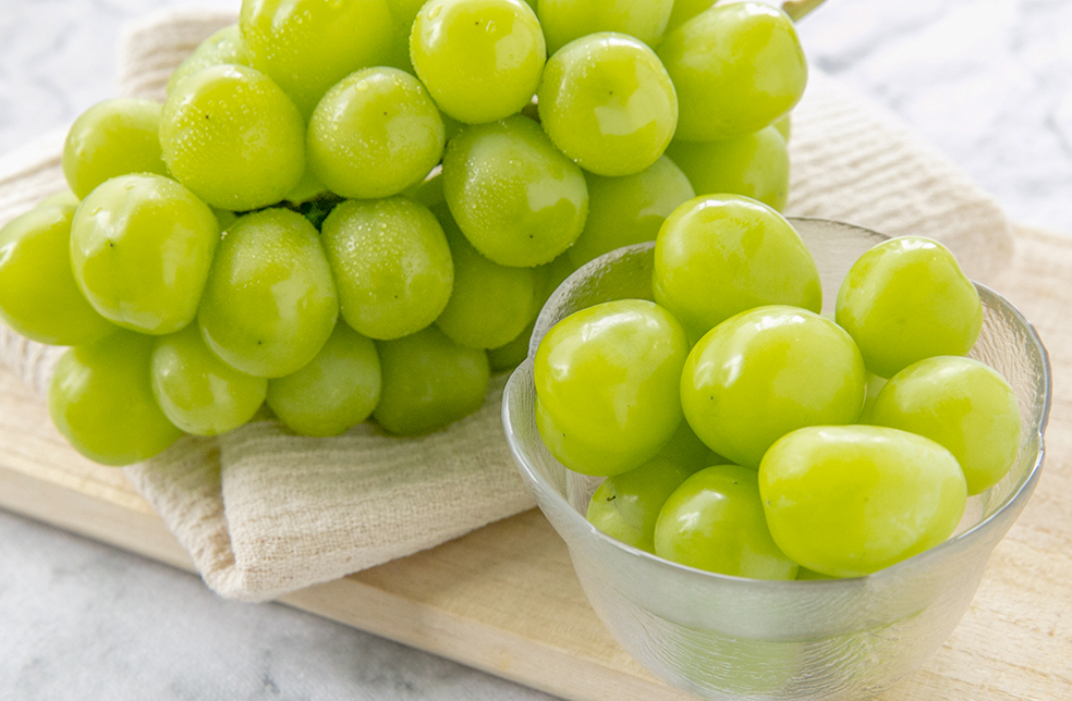 山形直送計画】山形県産シャインマスカット – アルコアーナ農園