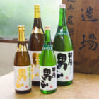 羽陽男山 飲み比べセット