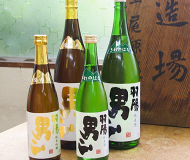 羽陽男山 飲み比べセット