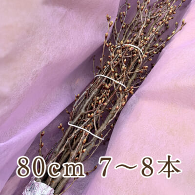 山形県産 啓翁桜 80cm 7～8本
