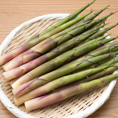 山形県産 月山筍 1kg
