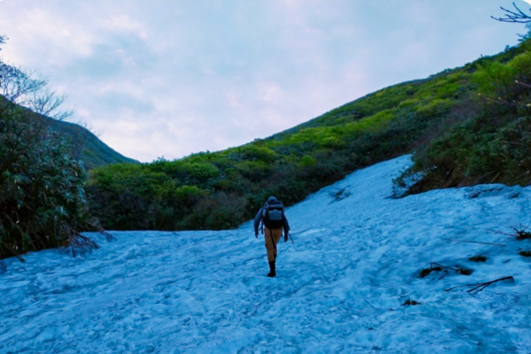 妥協せずに山奥へ入り、良質な月山筍を採取