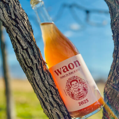 waon（スチューベン・ブラドノワール泡）750ml 1本
