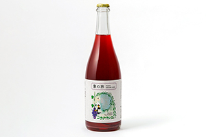 1. MELMO(スチューベン・ペティアン泡)