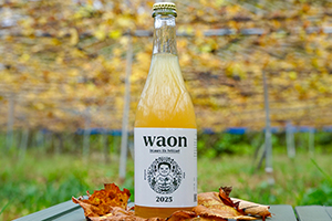1. waon(デラウェア・ペティアン泡)