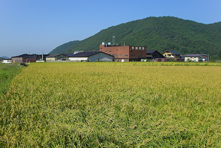 地元農家と協力して取り組む酒米作り