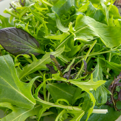 山形県産ベビーリーフ（有機JAS認証）500g